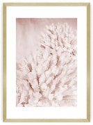 Plagát Pastel Pink II