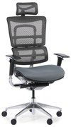 Multifunkčná kancelárska stolička WINSTON SAB, sivá