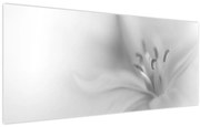 Obraz - Jemná ľalia (120x50 cm)