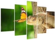 Obraz - Jašter (150x105 cm)