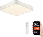 Immax NEO 07155-W30 - LED Stmievateľné svietidlo PERFECTO 24W/230V Wi-Fi Tuya + DO
