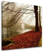 Obraz na stenu STROMY | rôzne rozmery