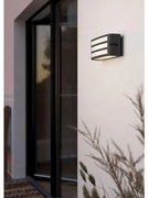 Eglo 900811 -Vonkajšie nástenné svietidlo CAMARDA 1xE27/40W/230V antracit IP54