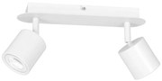 Bodové svietidlo DEMIA 2xGU10/8W/230V biela