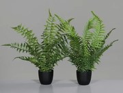 Umelá rastlina v kvetináči Kapradina, 36 cm (2 druhy)%