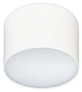 Azzardo AZ2253 - LED Stropné svietidlo MONZA 1xLED/5W/230V AZ2253