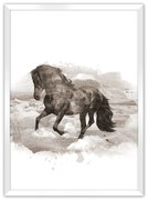 Plagát Horse
