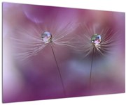 Obraz kvapôčok na páperí (90x60 cm)