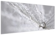 Obraz - Kvapka vody (120x50 cm)