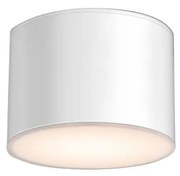 Shilo 7075 - Stropné svietidlo SUWA 1xGX53/15W/230V biela