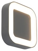 Nástenná a stropná lampa sivá štvorcová IP54 - Ariel