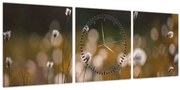 Obraz - Lúka s cottongrass N⁰2 (s hodinami) (90x30 cm)