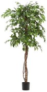 Umelý fikus (výška 180 cm) Ficus – Kave Home