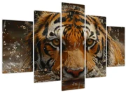 Obraz - Portrét tigra vo vode (150x105 cm)