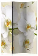 Artgeist Paraván - Orchid Branch [Room Dividers]