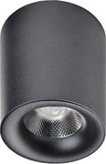 Azzardo AZ2844 - LED Stropné svietidlo MANE 1xLED/10W/230V