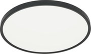 Stropné LED svietidlo Maq, 1x LED 40w, 3000-6500k, b