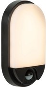 Lucide 22864/10/30 - LED Vonkajšie svietidlo so senzorom HUPS LED/10W/230V IP54