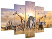 Obraz - Africké zvieratá (150x105 cm)