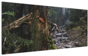 Obraz - V lese (120x50 cm)