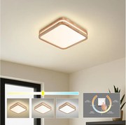 BRILAGI -LED Stropné svietidlo MOLINA SQUARE LED/32W/230V 3000/4000/6000K dub 30x30 cm
