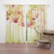 Sablio Záves Orchidea 2: 2 ks 140x250 cm