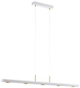 Eglo 39371 - LED Stmievateľný luster na lanku CANELAS 5xLED/4,6W/230V