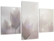 Obraz - Krókusy (90x60 cm)
