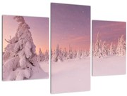 Obraz - Stromy pod snehovou prikrývkou (90x60 cm)