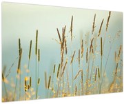 Obraz - Lúčny okamih (90x60 cm)