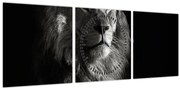 Obraz - Lev (s hodinami) (90x30 cm)
