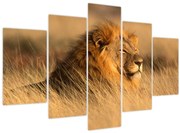 Obraz - Národný park Etosha (150x105 cm)