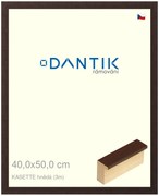 DANTIK rám na obraz 40x50 | KASSETTE hnědá (Sklo Čiré)