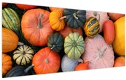 Obraz - Tekvica (120x50 cm)