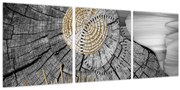 Obraz - Kmeň stromu v koláži (s hodinami) (90x30 cm)