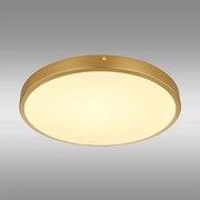 Stropná lampa Tibey 12381-22 LED PL1