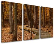 Obraz na stenu STROMY | rôzne rozmery