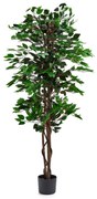 Umelá rastlina EVERGREEN, Ficus Benjamin, V 1600 mm, 1 ks