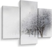 Obraz - Zimná alej (90x60 cm)