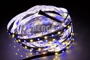 BERGE LED pásek - SMD 5050 - RGB+NW- 5m - 60 LED/m - 14,4 W/m - IP20