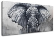 Obraz na plátne SLON | rôzne rozmery