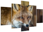 Obraz líšky (150x105 cm)