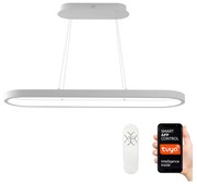 Immax NEO 07077L - LED Stmievateľný luster na lanku HIPODROMO LED/66W/230V Tuya