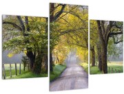 Obraz - Smoky Mountains, Gatlinburg, USA (90x60 cm)