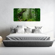 PIPPER. Samolepiaca textilná tapeta - Tajomná džungľa 2