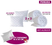 Ponuka Súprava paplón a vankúš 2 + 2
