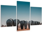 Obraz - Odchod slonov (90x60 cm)