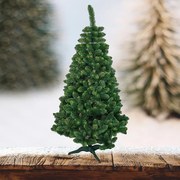 Vianočný stromček borovica novinka 220 cm