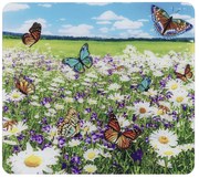 Kryt na stenu pri sporáku z tvrdeného skla 50x56 cm – Maximex