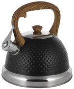Oceľový čajník s píšťalkou 2,7 L (2 farby)